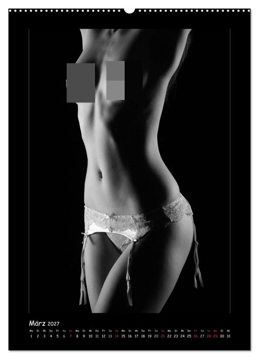 Anonymer Akt (CALVENDO Premium Wandkalender 2027)