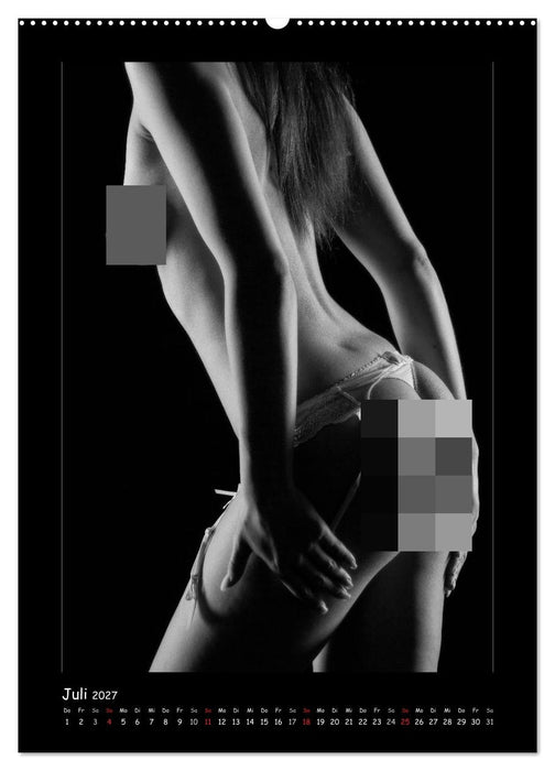 Anonymer Akt (CALVENDO Premium Wandkalender 2027)