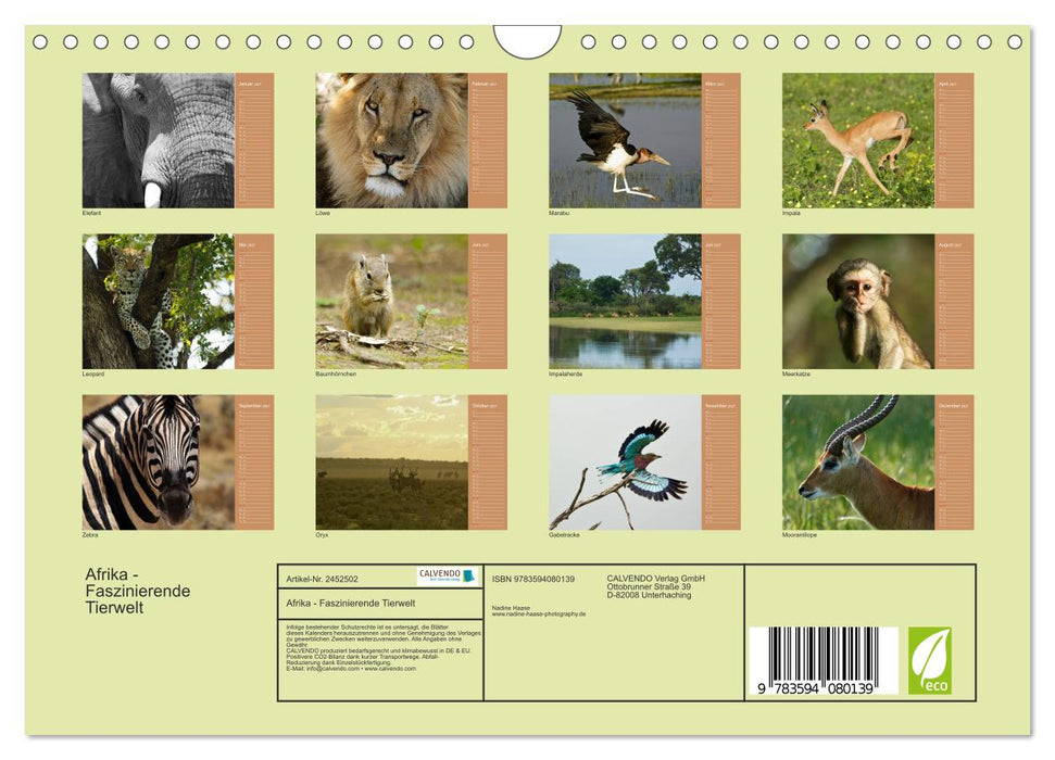 Afrika - Faszinierende Tierwelt (CALVENDO Wandkalender 2027)