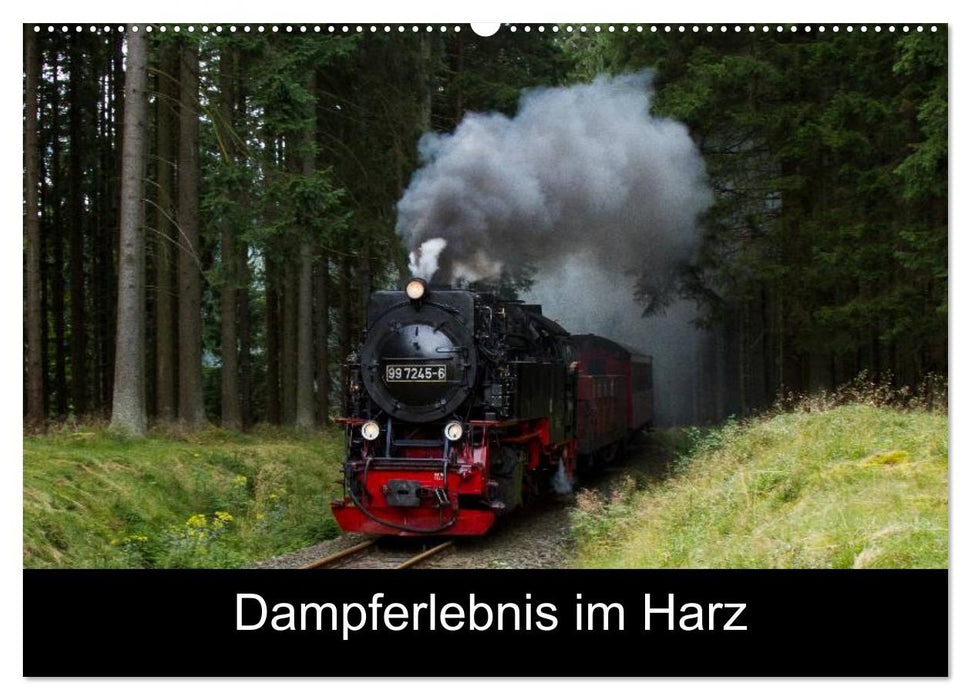 Dampferlebnis im Harz (CALVENDO Wandkalender 2027)