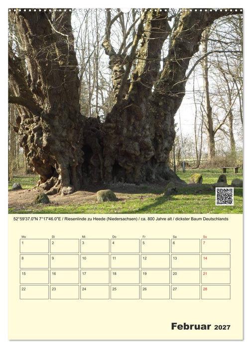 Uralt - Mit QR-Code und GPS zu alten Bäumen (CALVENDO Wandkalender 2027)