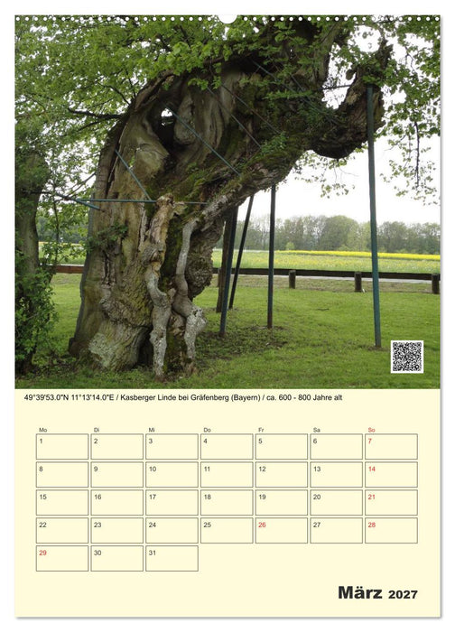 Uralt - Mit QR-Code und GPS zu alten Bäumen (CALVENDO Wandkalender 2027)