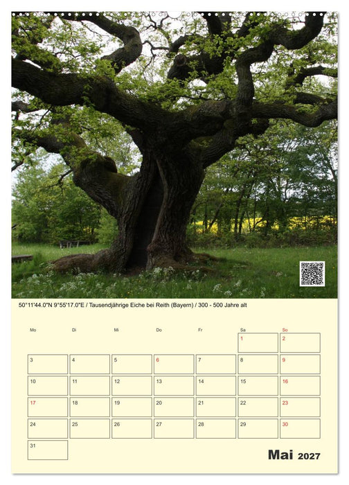 Uralt - Mit QR-Code und GPS zu alten Bäumen (CALVENDO Wandkalender 2027)