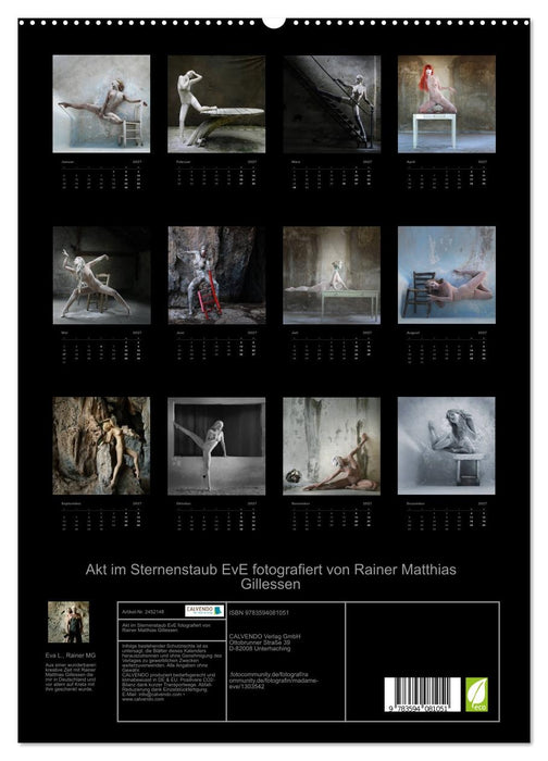 Akt im Sternenstaub EvE fotografiert von Rainer Matthias Gillessen (CALVENDO Premium Wandkalender 2027)