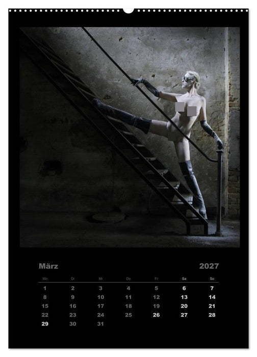 Akt im Sternenstaub EvE fotografiert von Rainer Matthias Gillessen (CALVENDO Premium Wandkalender 2027)