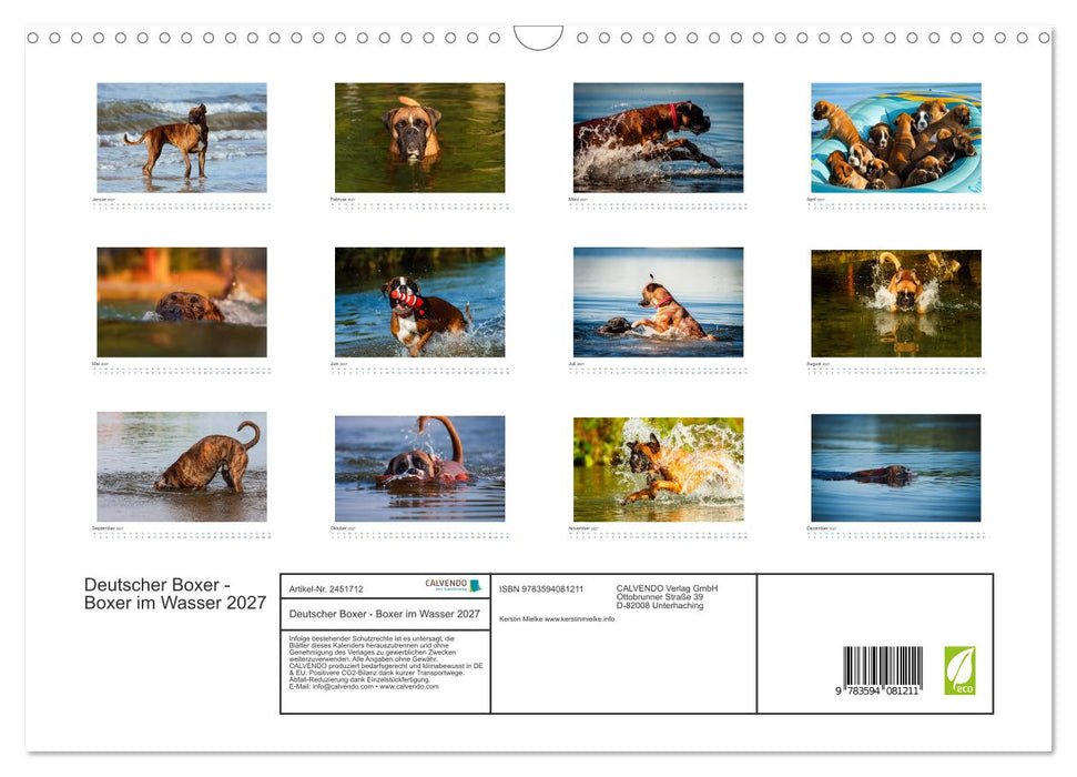 Deutscher Boxer - Boxer im Wasser 2027 (CALVENDO Wandkalender 2027)