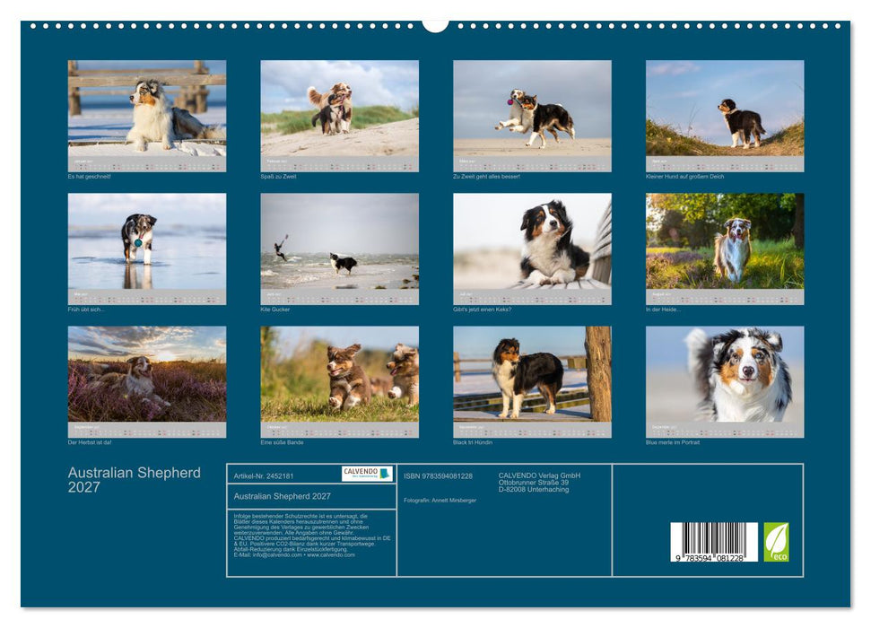 Australian Shepherd 2027 (CALVENDO Wandkalender 2027)