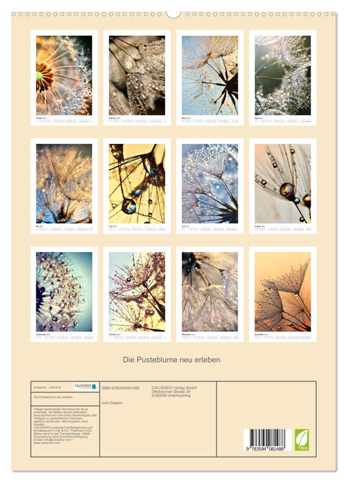 Die Pusteblume neu erleben (CALVENDO Premium Wandkalender 2027)