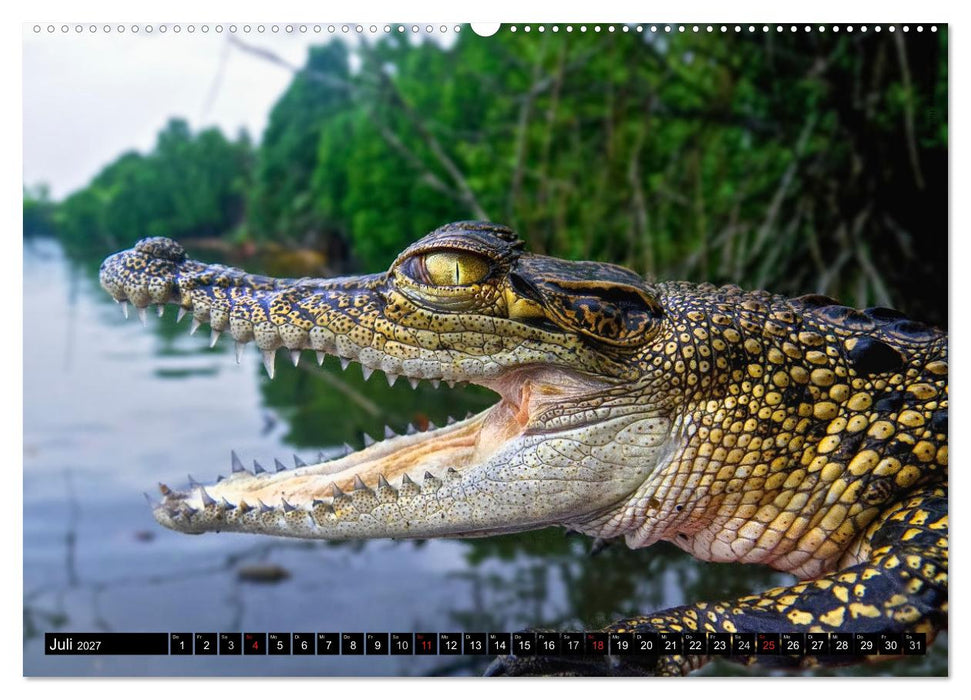 Sri Lanka 2027 – Exotische Welt (CALVENDO Premium Wandkalender 2027)