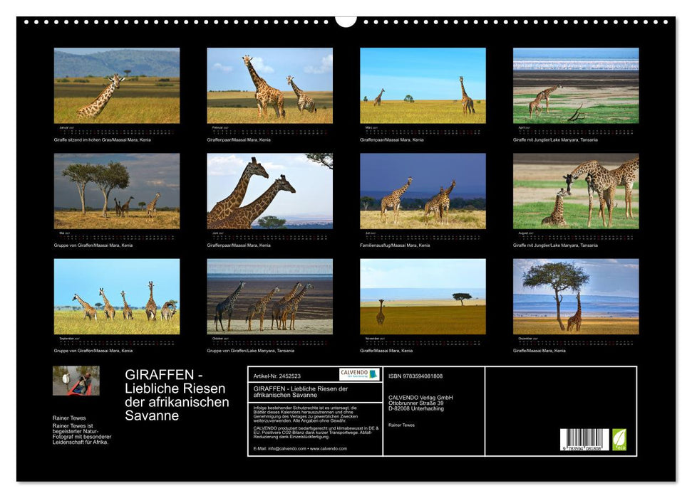 GIRAFFEN - Liebliche Riesen der afrikanischen Savanne (CALVENDO Wandkalender 2027)