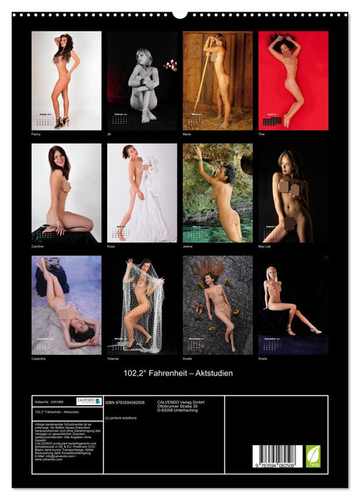 102,2° Fahrenheit – Aktstudien (CALVENDO Premium Wandkalender 2027)