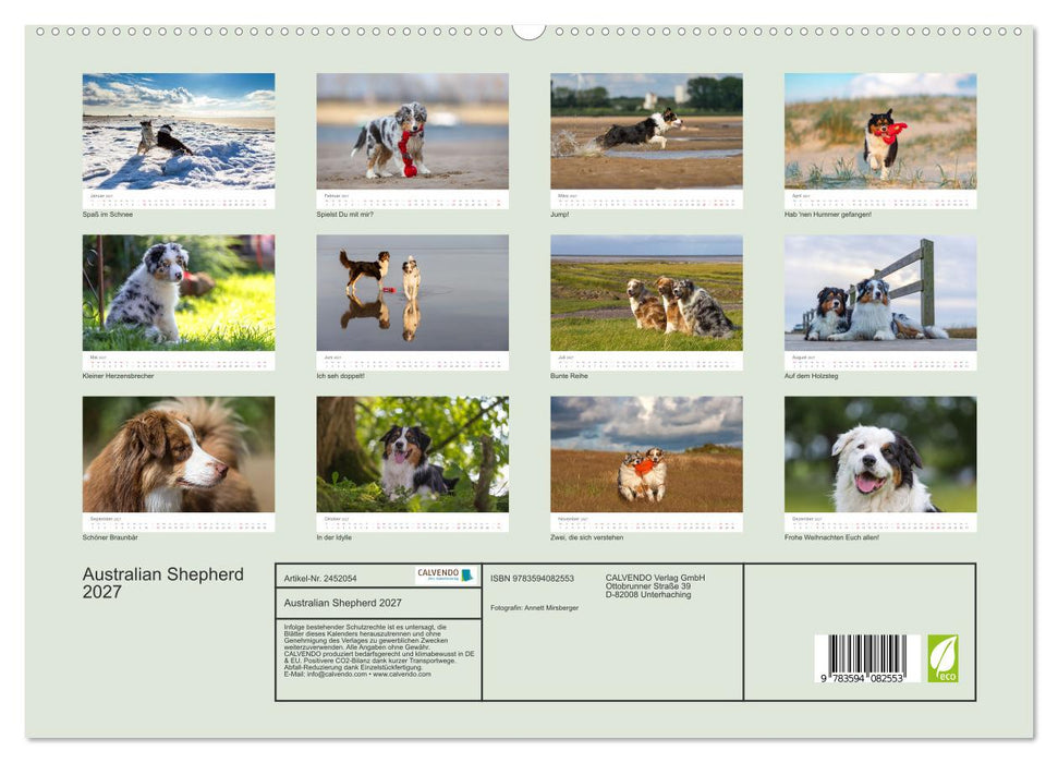 Australian Shepherd 2027 (CALVENDO Premium Wandkalender 2027)