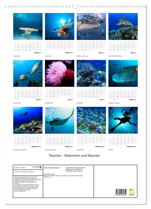 Tauchen - Abtauchen und Staunen (CALVENDO Wandkalender 2027)
