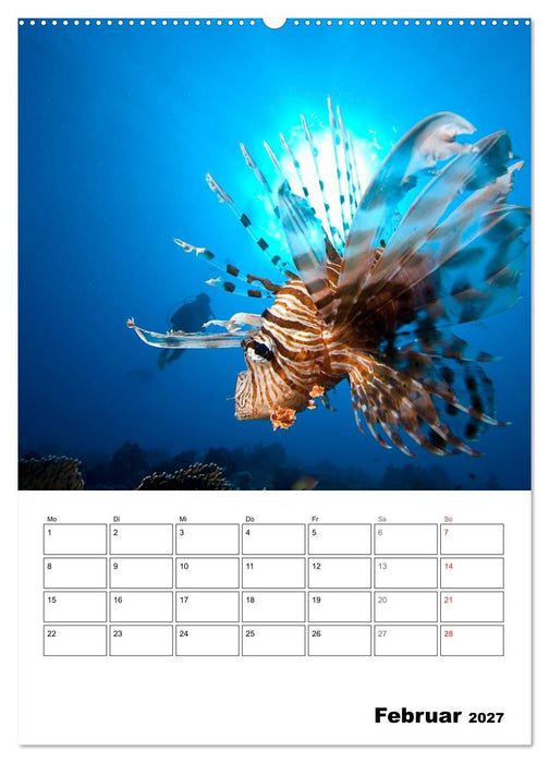 Tauchen - Abtauchen und Staunen (CALVENDO Wandkalender 2027)