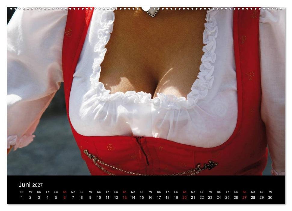 Echt Holz - Einblicke (CALVENDO Premium Wandkalender 2027)