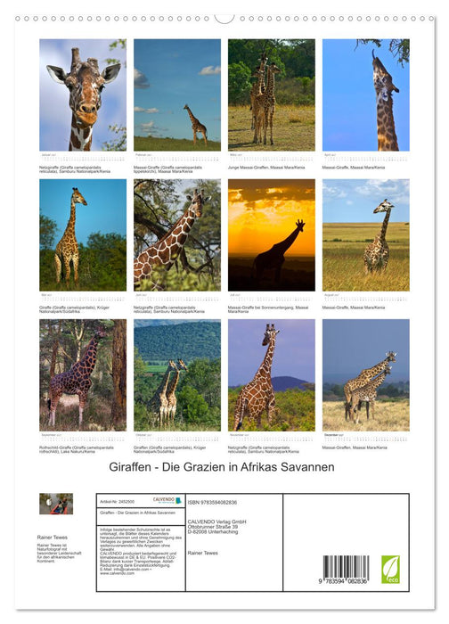 Giraffen - Die Grazien in Afrikas Savannen (CALVENDO Premium Wandkalender 2027)