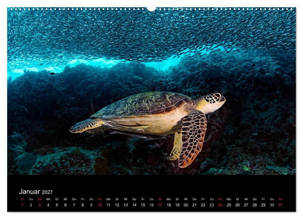 Philippinen - Natur und Fiesta (CALVENDO Wandkalender 2027)