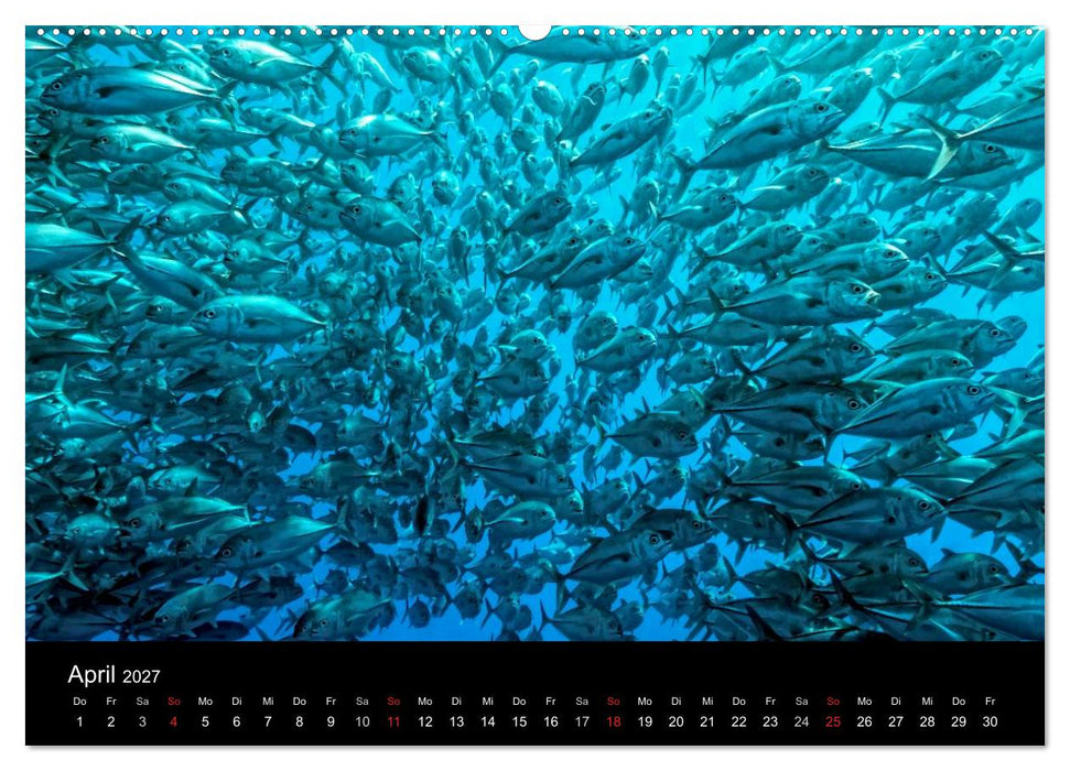 Philippinen - Natur und Fiesta (CALVENDO Wandkalender 2027)