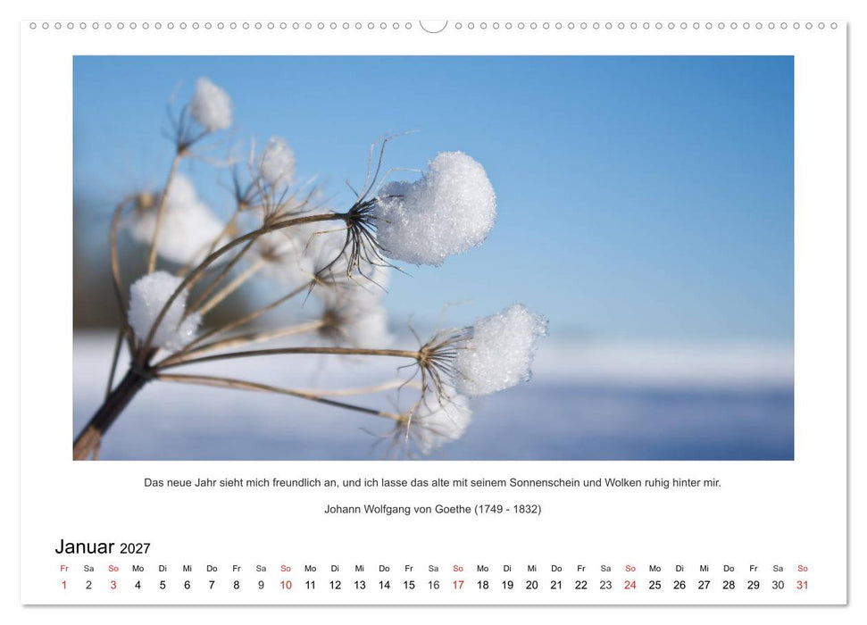 Der Naturkalender mit Zitaten und Sprüchen (CALVENDO Wandkalender 2027)
