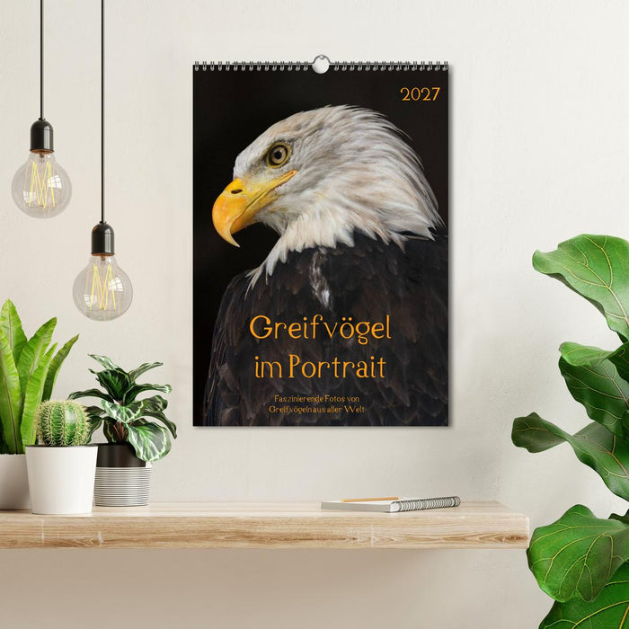 Greifvögel im Portrait (CALVENDO Wandkalender 2027)