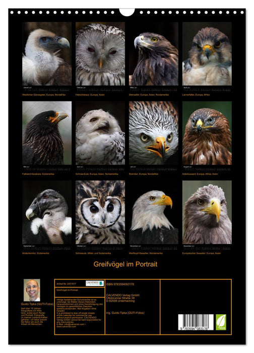 Greifvögel im Portrait (CALVENDO Wandkalender 2027)