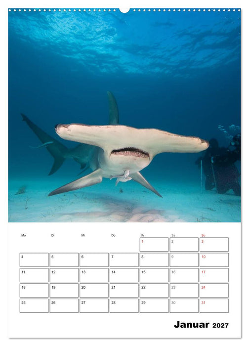 Tauchen - Abtauchen und Staunen (CALVENDO Premium Wandkalender 2027)