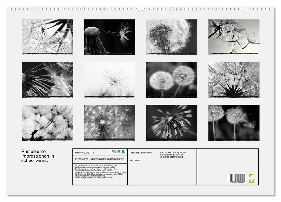 Pusteblume - Impressionen in schwarzweiß (CALVENDO Wandkalender 2027)