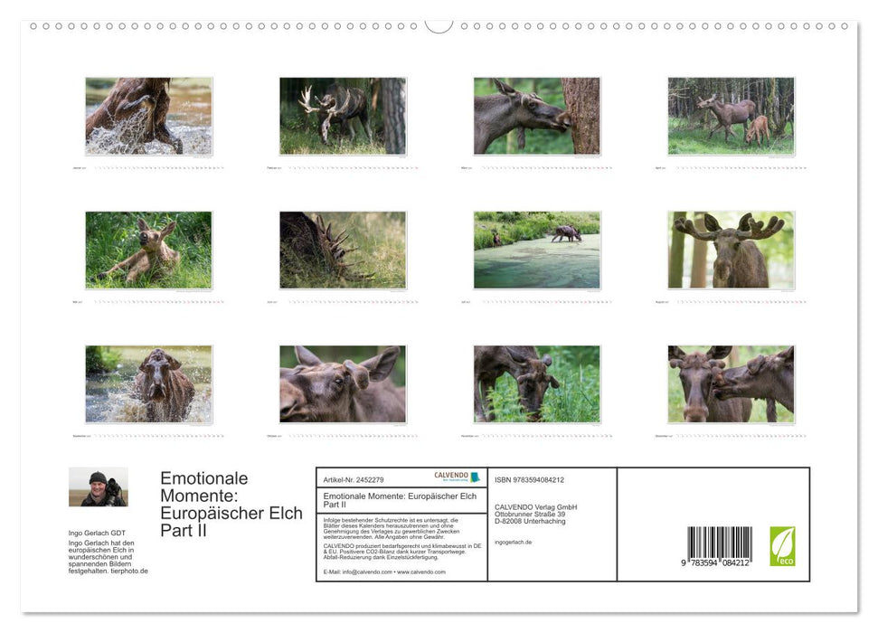 Emotionale Momente: Europäischer Elch Part II (CALVENDO Premium Wandkalender 2027)