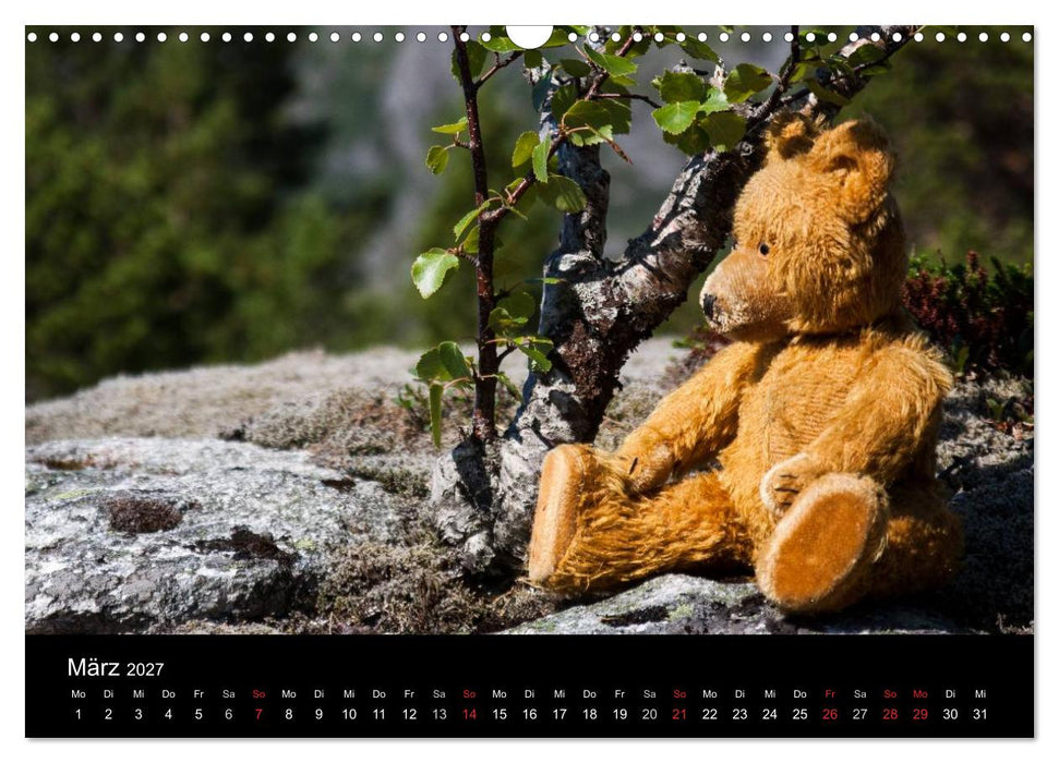 Teddy Basse, Fortsetzung... (CALVENDO Wandkalender 2027)