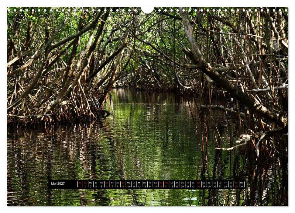 Florida Impressionen (CALVENDO Wandkalender 2027)