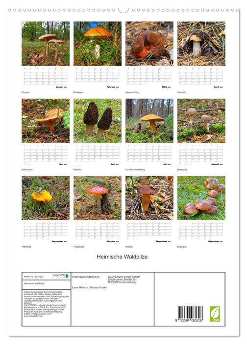 Heimische Waldpilze (CALVENDO Premium Wandkalender 2027)