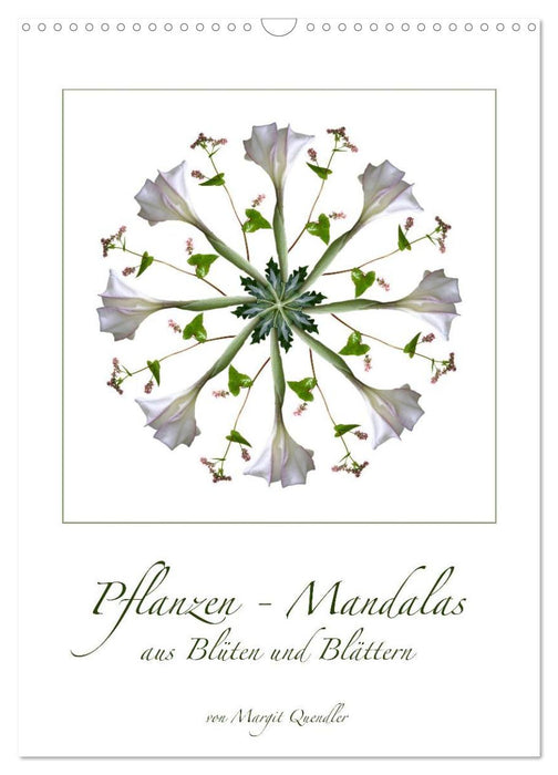 Pflanzen - Mandalas aus Blüten und Blättern (CALVENDO Wandkalender 2027)