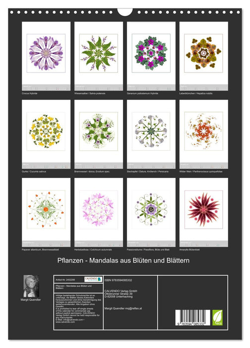 Pflanzen - Mandalas aus Blüten und Blättern (CALVENDO Wandkalender 2027)