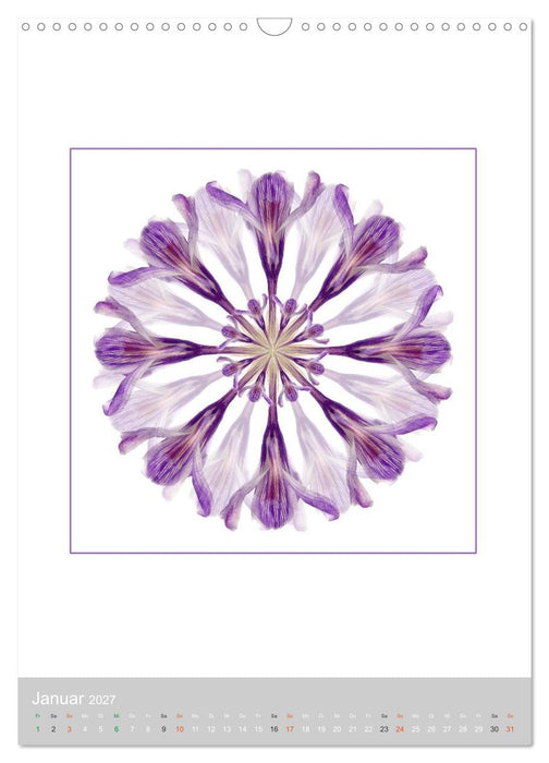 Pflanzen - Mandalas aus Blüten und Blättern (CALVENDO Wandkalender 2027)