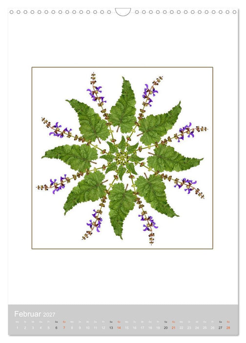 Pflanzen - Mandalas aus Blüten und Blättern (CALVENDO Wandkalender 2027)