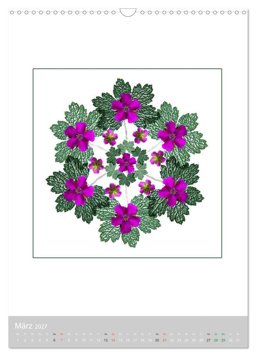 Pflanzen - Mandalas aus Blüten und Blättern (CALVENDO Wandkalender 2027)