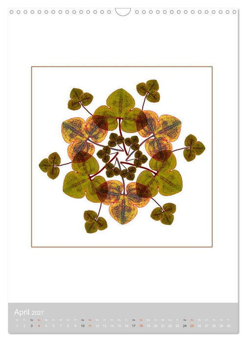 Pflanzen - Mandalas aus Blüten und Blättern (CALVENDO Wandkalender 2027)