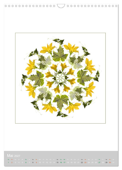 Pflanzen - Mandalas aus Blüten und Blättern (CALVENDO Wandkalender 2027)