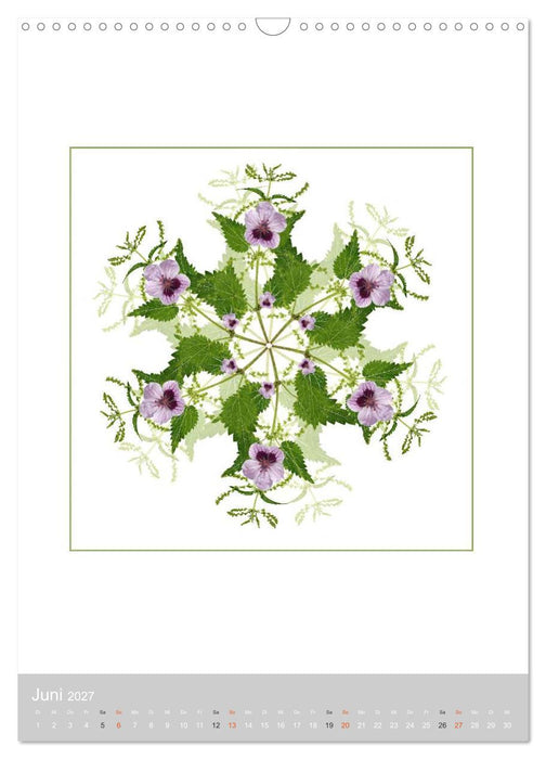 Pflanzen - Mandalas aus Blüten und Blättern (CALVENDO Wandkalender 2027)