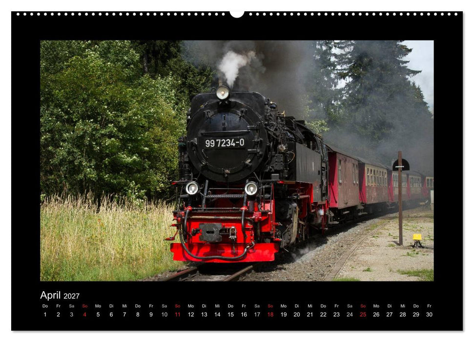 Dampferlebnis im Harz (CALVENDO Premium Wandkalender 2027)