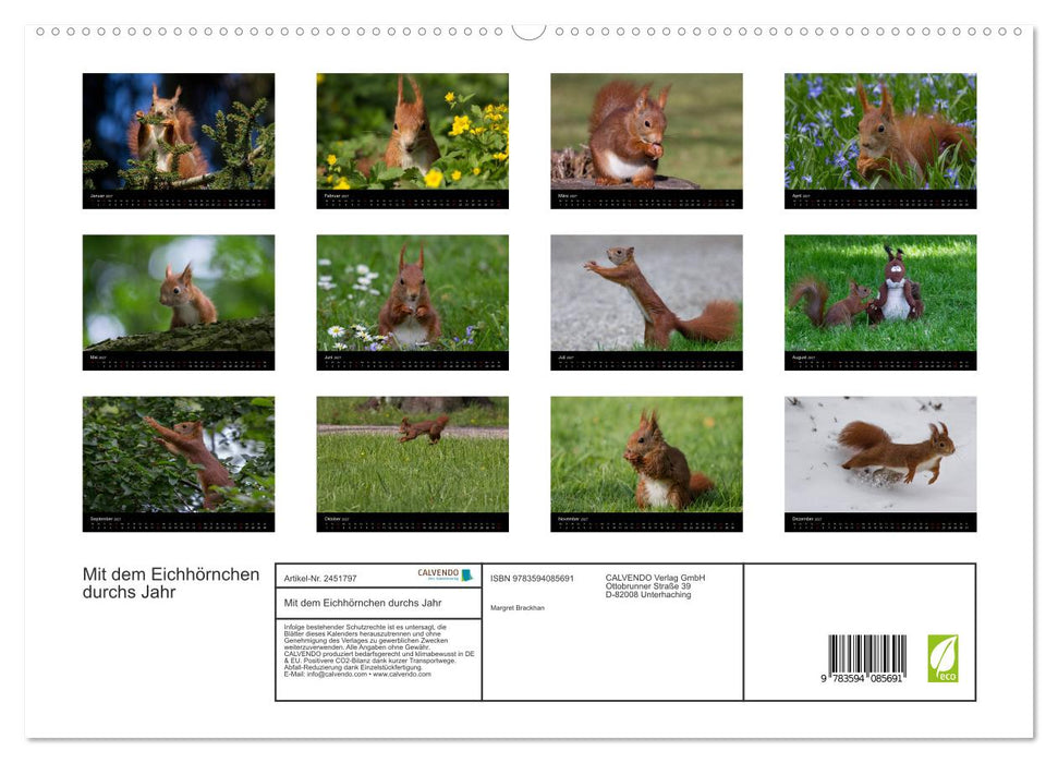 Mit dem Eichhörnchen durchs Jahr (CALVENDO Premium Wandkalender 2027)