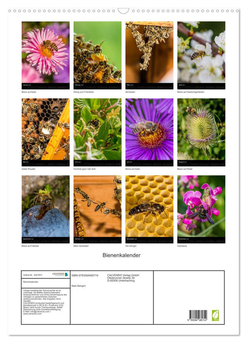 Bienenkalender (CALVENDO Wandkalender 2027)