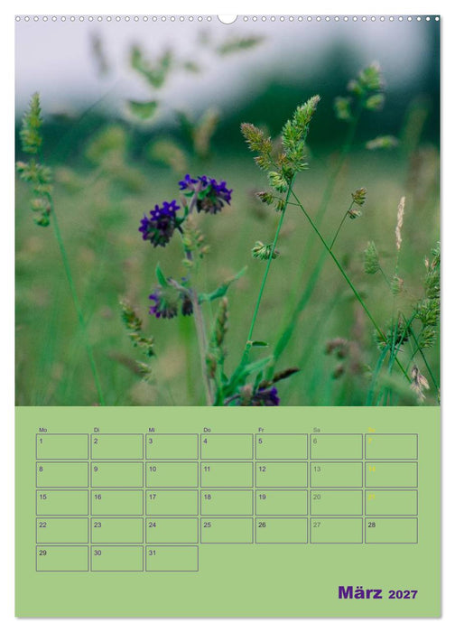 Wald- und Wiesenkalender 2027 Planer (CALVENDO Wandkalender 2027)