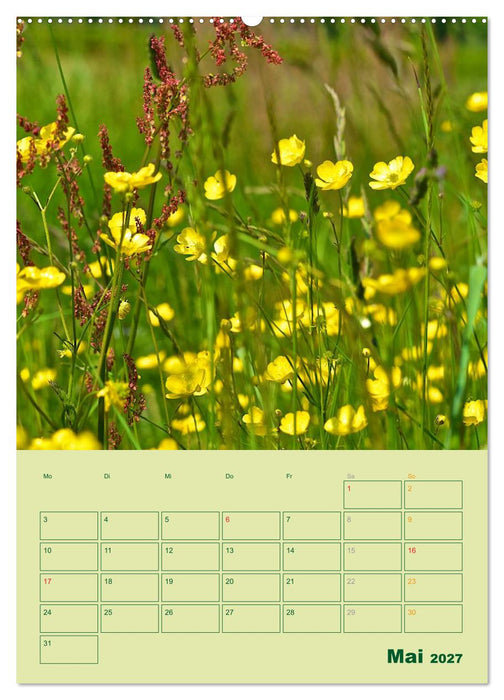 Wald- und Wiesenkalender 2027 Planer (CALVENDO Wandkalender 2027)
