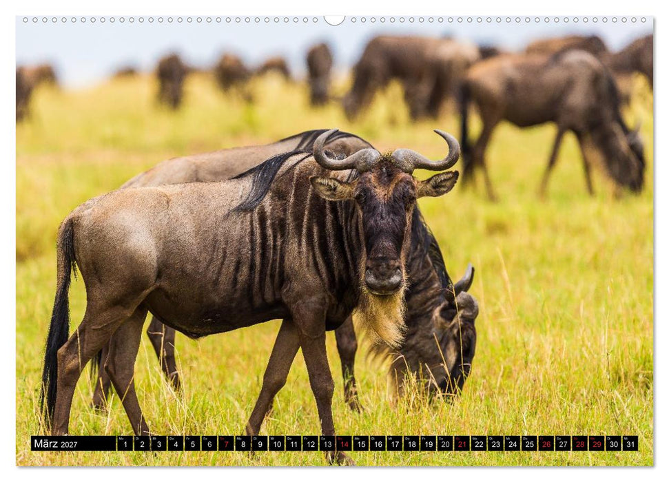 Masai Mara 2027 (CALVENDO Wandkalender 2027)
