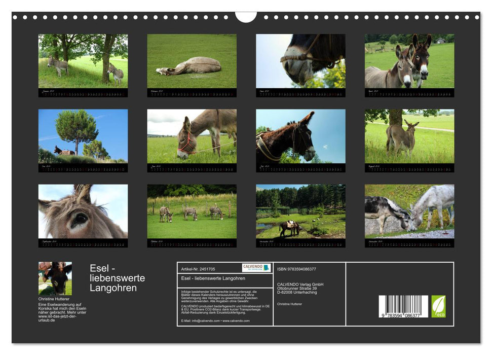 Esel - liebenswerte Langohren (CALVENDO Wandkalender 2027)
