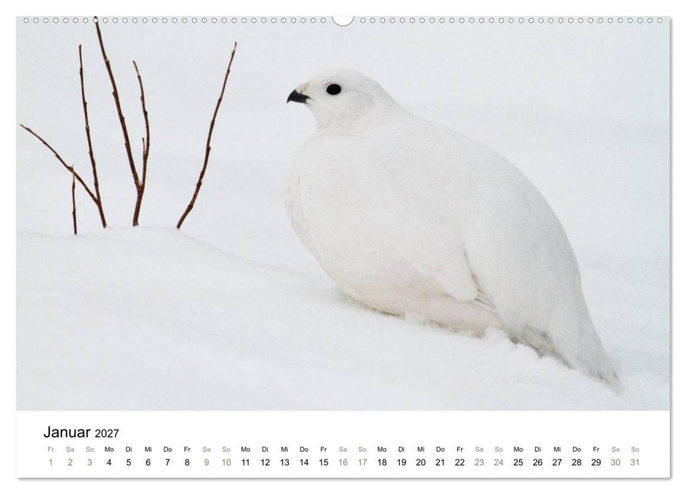 Einblick-Natur: Finnland natürlich (CALVENDO Wandkalender 2027)