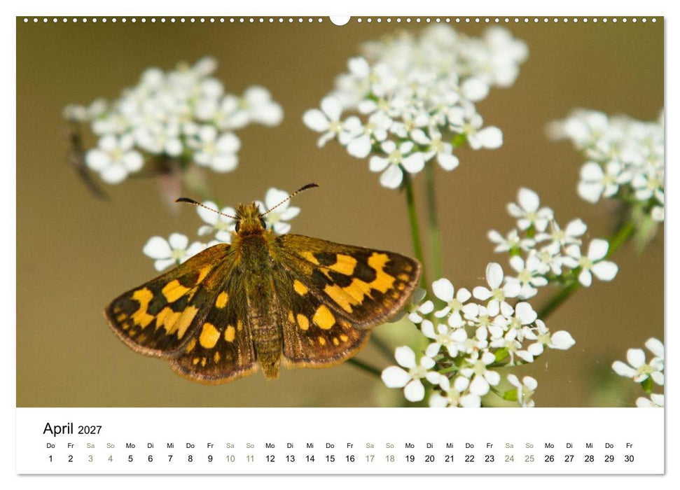 Einblick-Natur: Finnland natürlich (CALVENDO Wandkalender 2027)