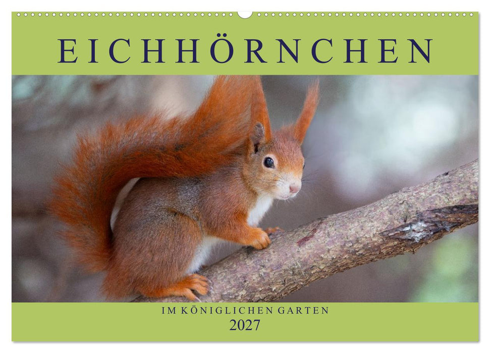 Eichhörnchen im Königlichen Garten (CALVENDO Wandkalender 2027)