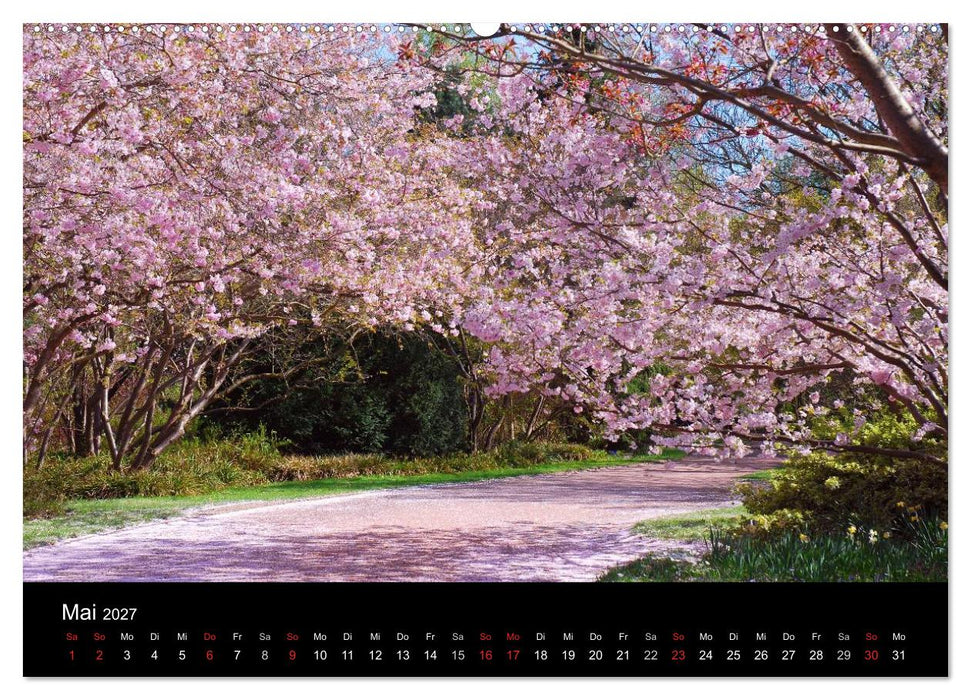 Die vier Jahreszeiten (CALVENDO Premium Wandkalender 2027)